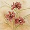 Sweet Scent II Poster Print by Carol Robinson - Item # VARPDX12483